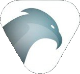 Buzzard AI Logo